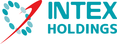 INTEX HOLDINGS